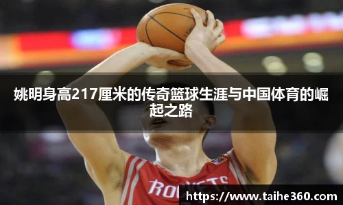 球速体育官网