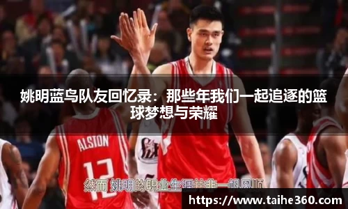 球速体育官网