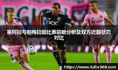 球速体育官网