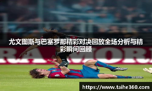 球速体育官网